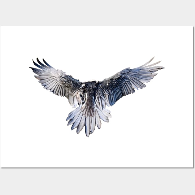 Bearded Vulture  / Swiss Artwork Photography Wall Art by RaphaelWolf